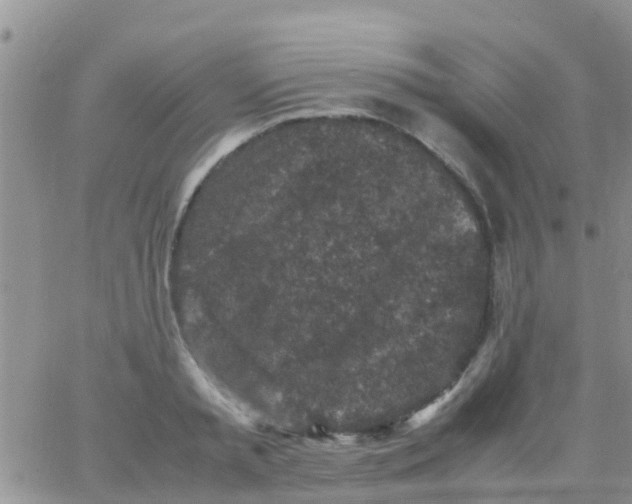 X0000065980797200603172114