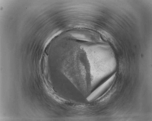 X0000065980798200603172114