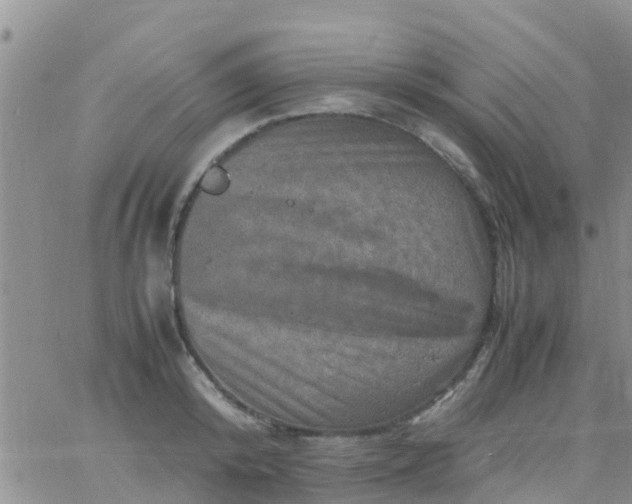 X0000065980800200603172114