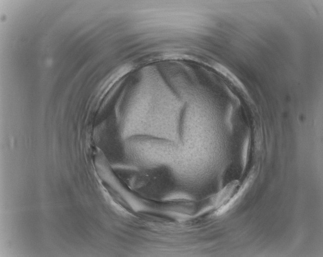 X0000065980801200603172114