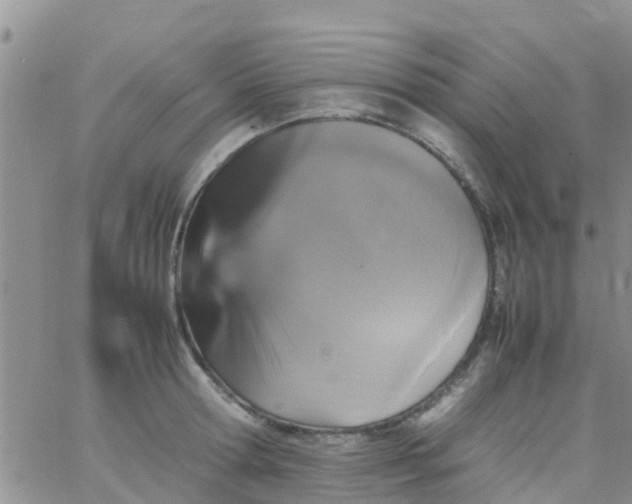 X0000065980802200603172114