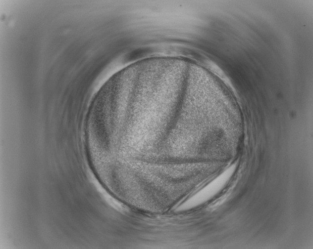 X0000065980803200603172114