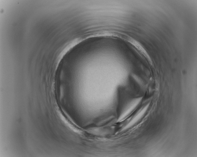 X0000065980805200603172114