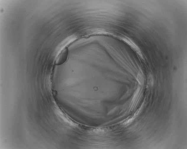 X0000065980806200603172114