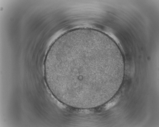 X0000065980807200603172114