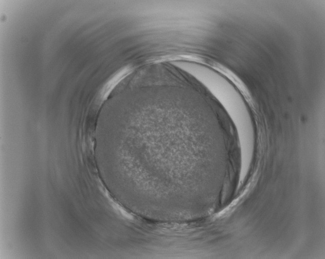 X0000065980809200603172113