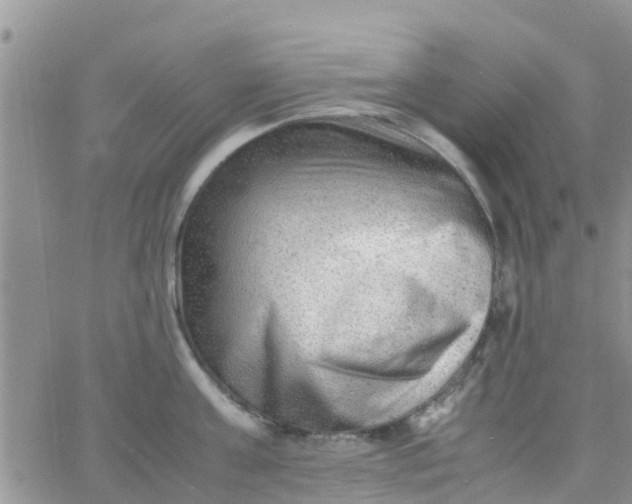 X0000065980811200603172113