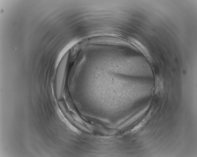 X0000065980812200603172113