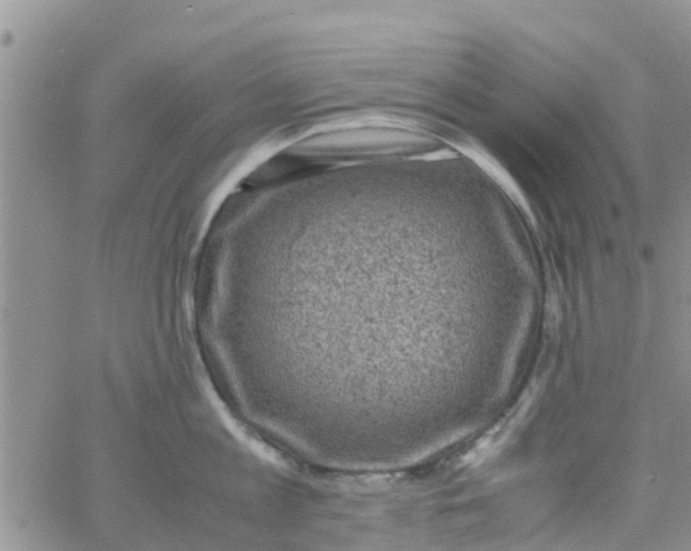 X0000065980813200603172113