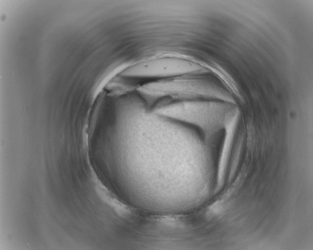 X0000065980814200603172113