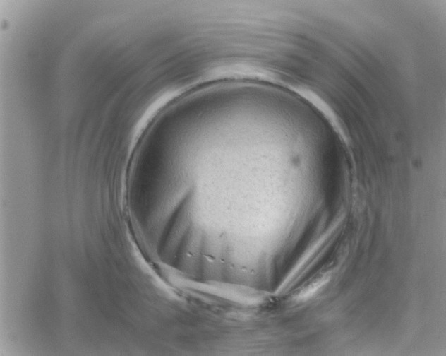 X0000065980815200603172113