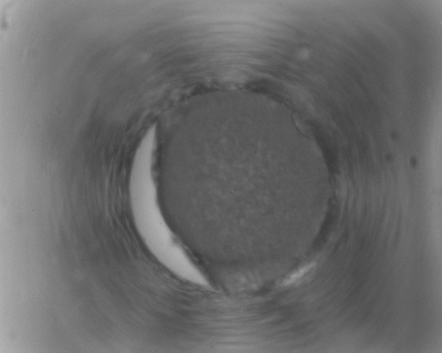 X0000065980818200603172113