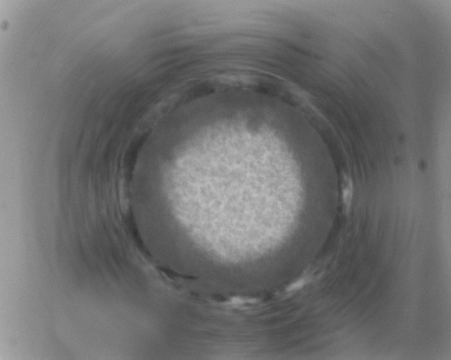 X0000065980819200603172113