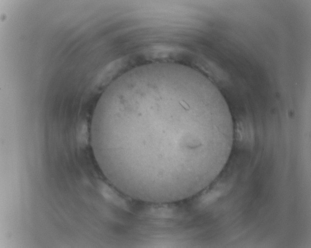 X0000065980820200603172113