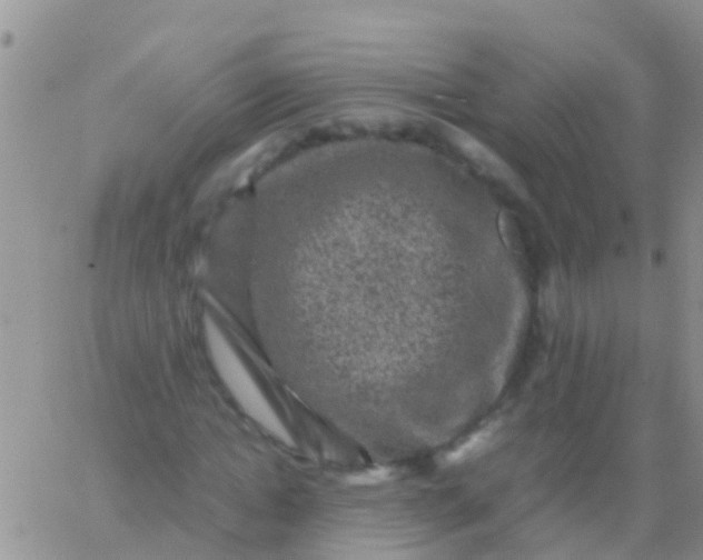 X0000065980822200603172113