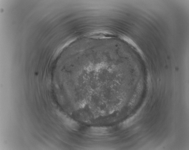 X0000065980825200603172113