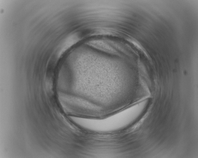 X0000065980826200603172113