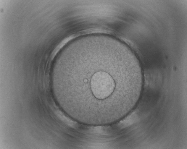 X0000065980828200603172113