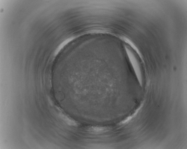 X0000065980829200603172113