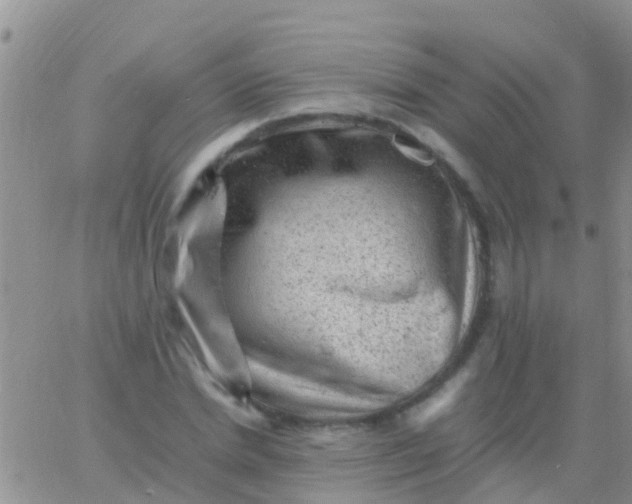 X0000065980830200603172113