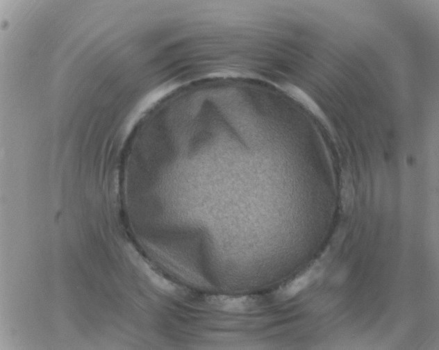 X0000065980831200603172113