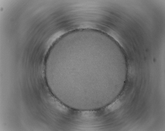 X0000065980832200603172113