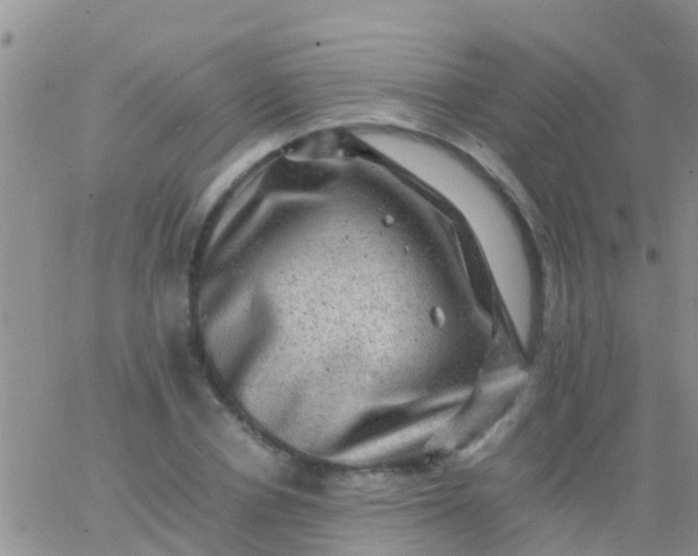 X0000065980834200603172113