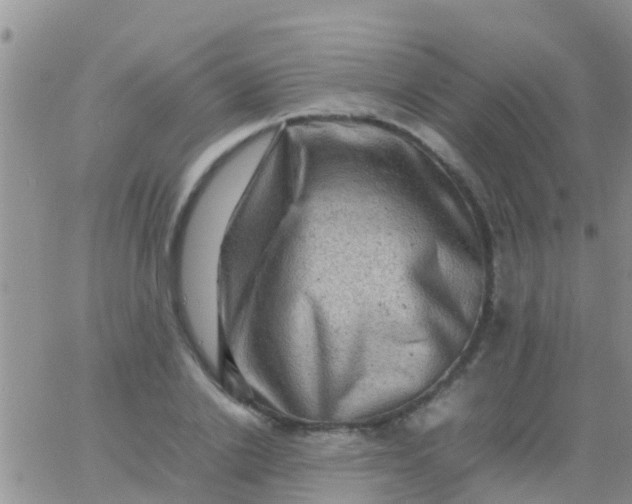 X0000065980838200603172113