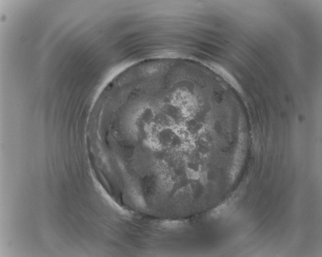 X0000065980839200603172113