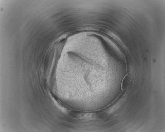 X0000065980841200603172113