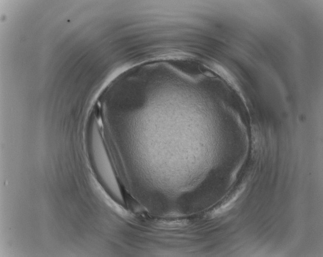 X0000065980843200603172113