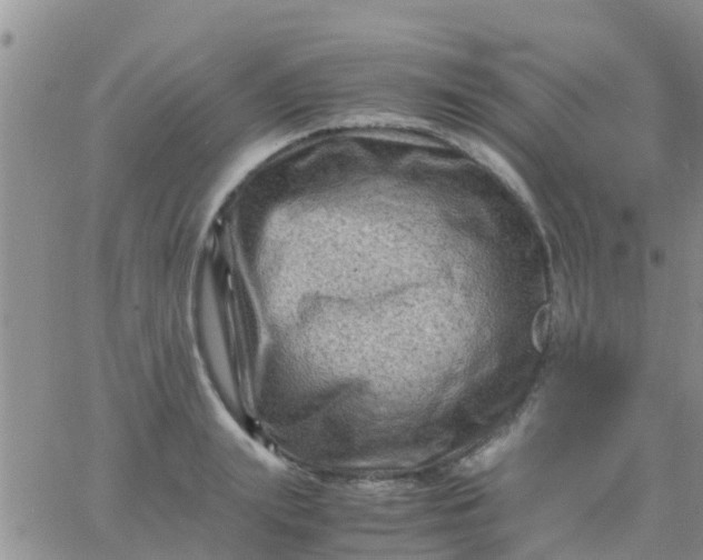 X0000065980847200603172113