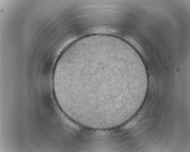 X0000065980848200603172113