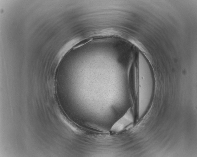 X0000065980850200603172113