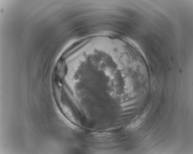 X0000065980851200603172113