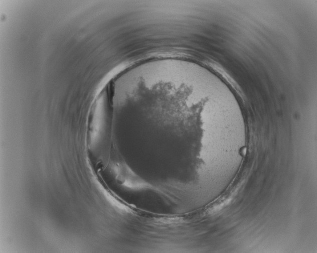 X0000065980853200603172113