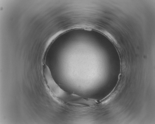 X0000065980854200603172113