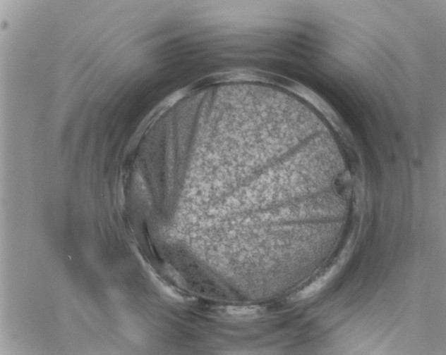 X0000065980857200603172113