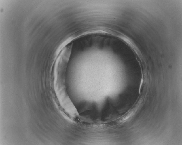 X0000065980858200603172113