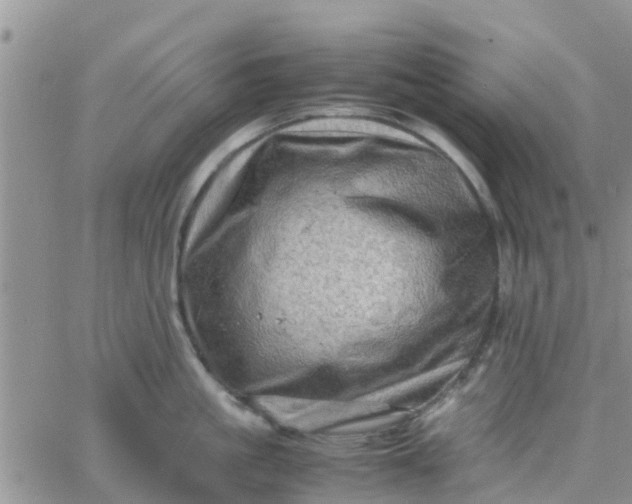 X0000065980861200603172113