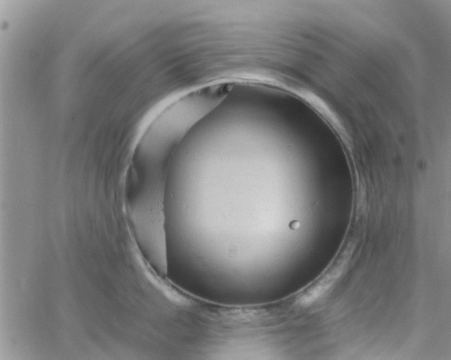 X0000065980862200603172113