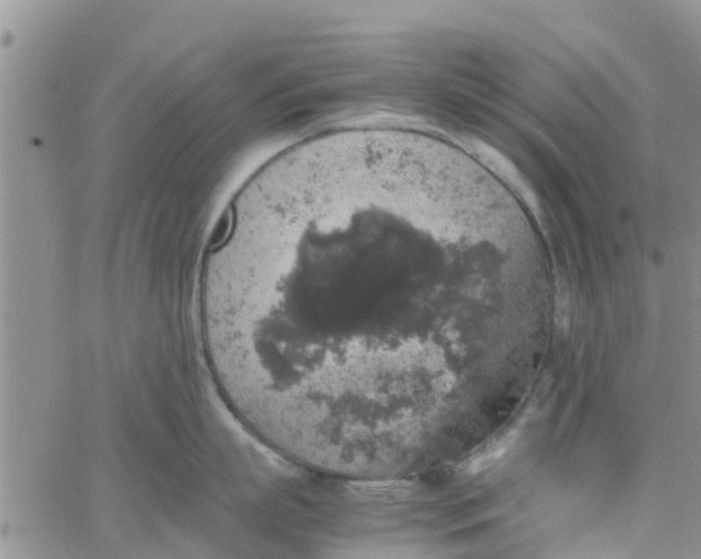 X0000065980863200603172113