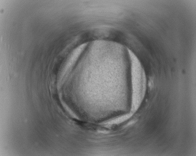 X0000065980867200603172113