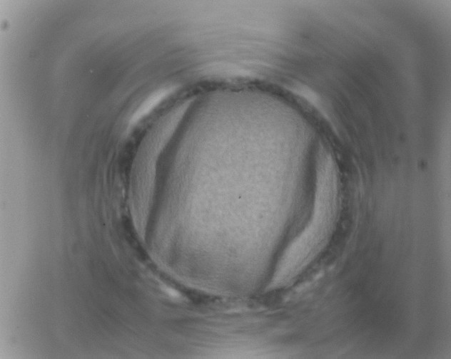 X0000065980871200603172112