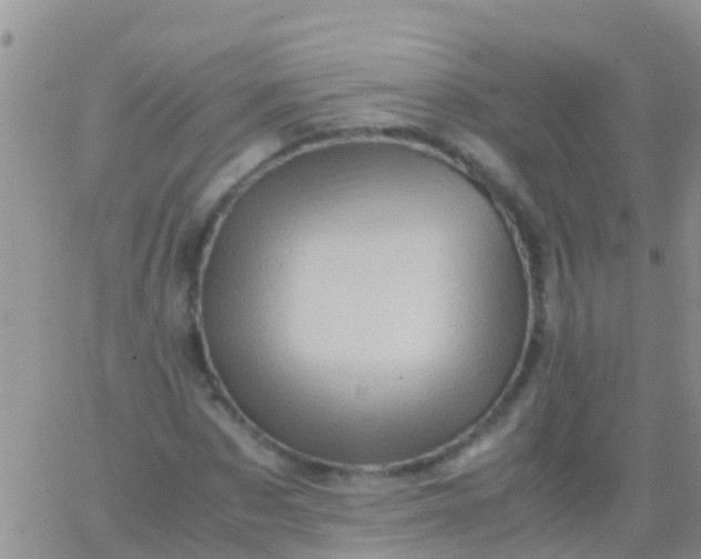 X0000065980873200603172112