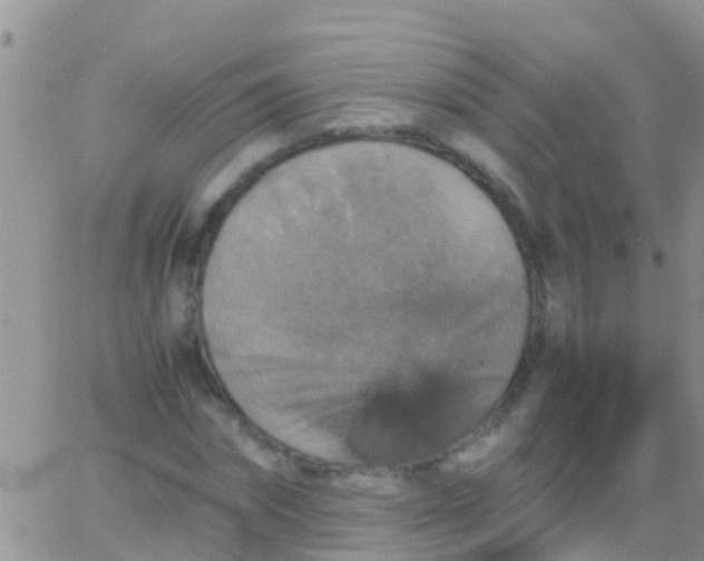 X0000065980874200603172112