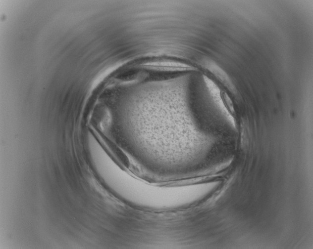 X0000065980876200603172112