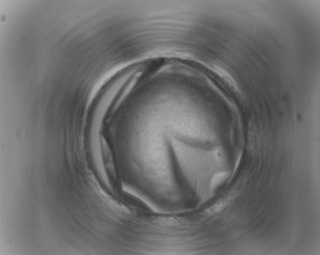 X0000065980880200603172112