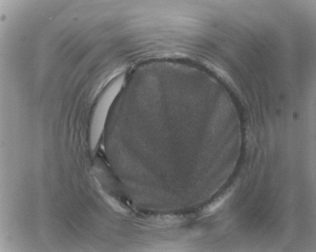 X0000065980881200603172112