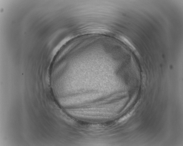 X0000065980883200603172112